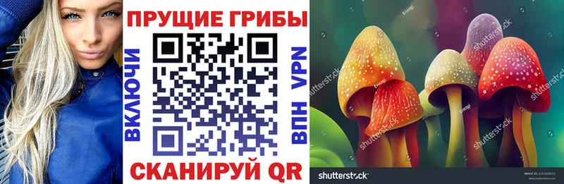 Купить где  Приморско-Ахтарск  Псилоцибиновые грибы мухоморы 