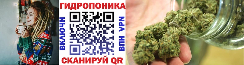 Купить где  Приморско-Ахтарск  Шишки марихуана план 
